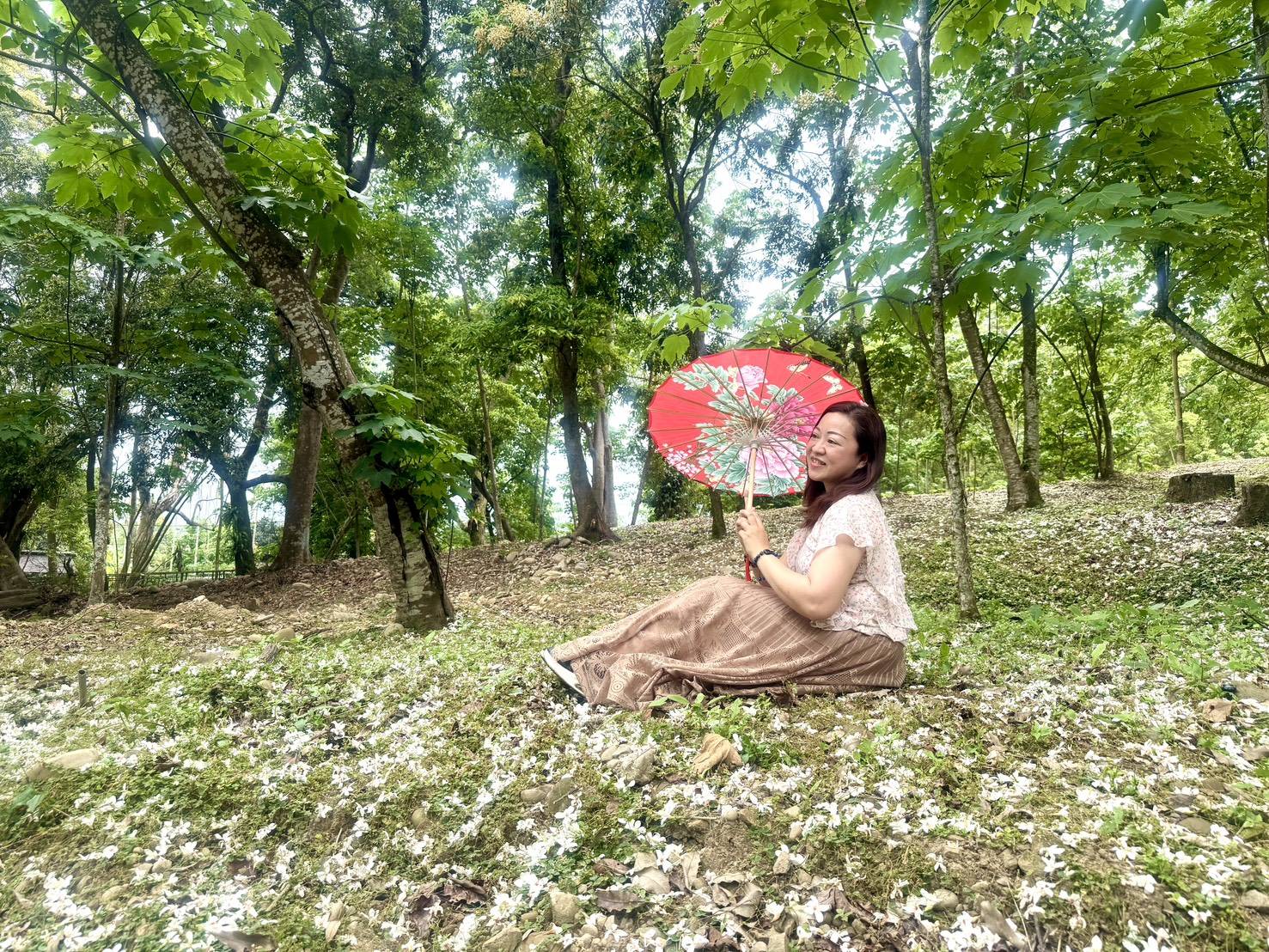 作者：林玉芬